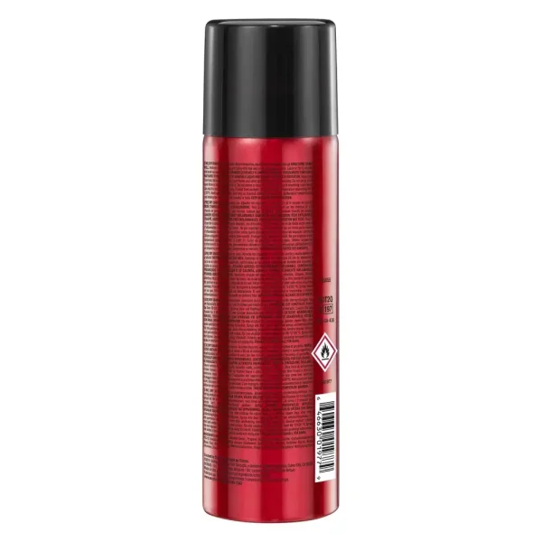 Big Sexy Hair Dry Shampoo